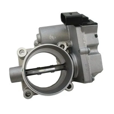 Throttle Body (L8413A2)