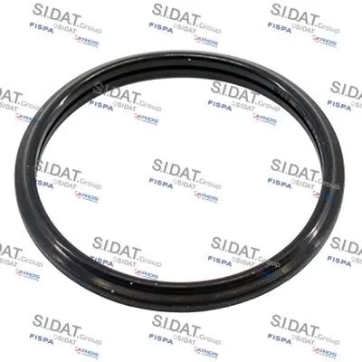 Seal, thermostat (M4016103)