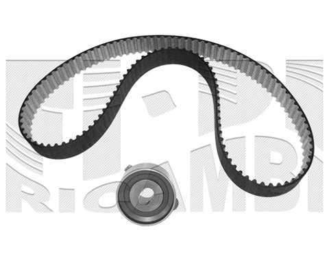 Timing Belt Kit (KAT1204)