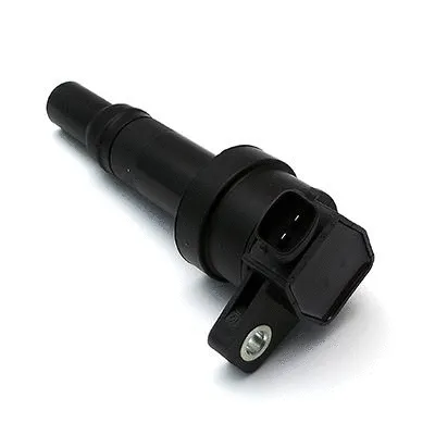 Ignition Coil (L530412A2)