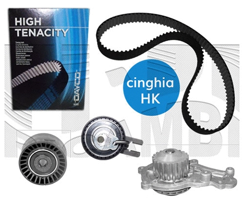 Water Pump & Timing Belt Kit (KATW1725)