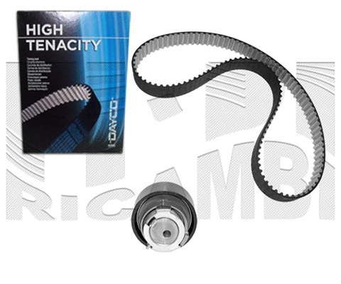 Timing Belt Kit (KAT1451)