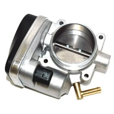 Throttle Body (L8171)