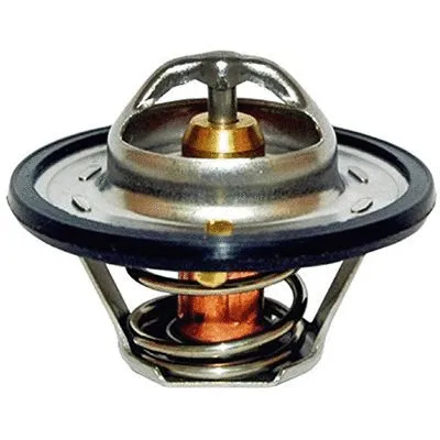 Thermostat, coolant (M4095)