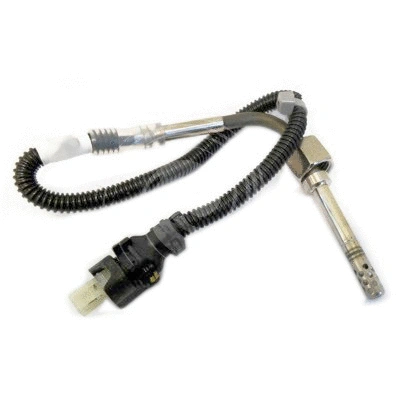 Sensor, exhaust gas temperature (L2163)