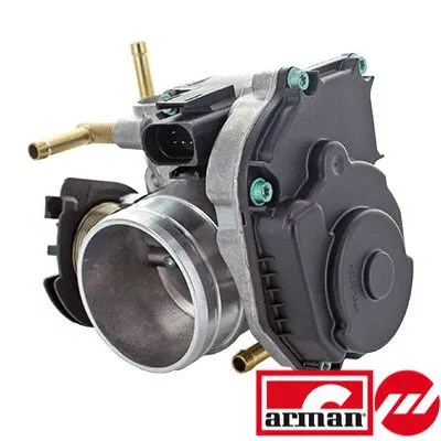 Throttle Body (L8006AS)