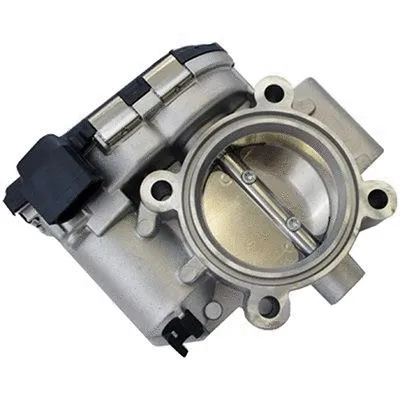 Throttle Body (L8374)
