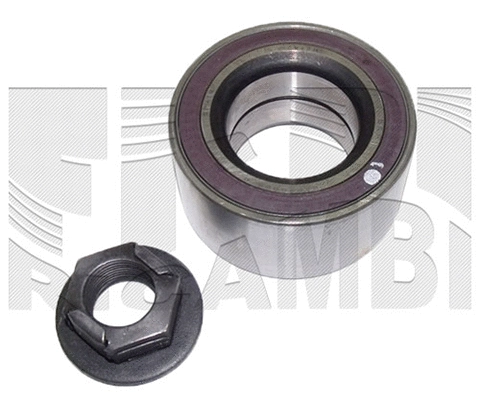 Wheel Bearing Kit (RA7841)