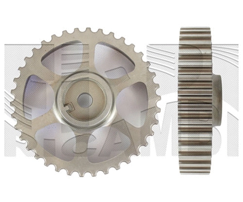 Gear/Sprocket, camshaft (AA1167)