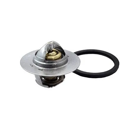 Thermostat, coolant (M4210)