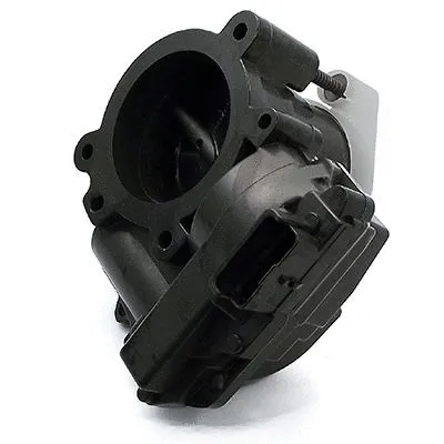 Throttle Body (L8100)