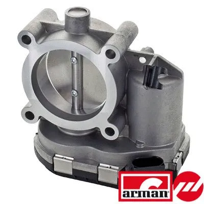 Throttle Body (L8149AS)