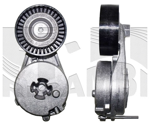 Belt Tensioner, V-ribbed belt (A09272)