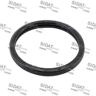 Seal, thermostat (M4016105)