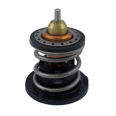 Thermostat, coolant (M4918)