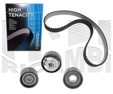 Timing Belt Kit (KAT1487)