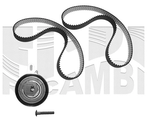 Timing Belt Kit (KAT1606)