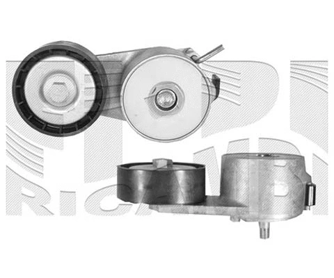 Belt Tensioner, V-ribbed belt (A04620)