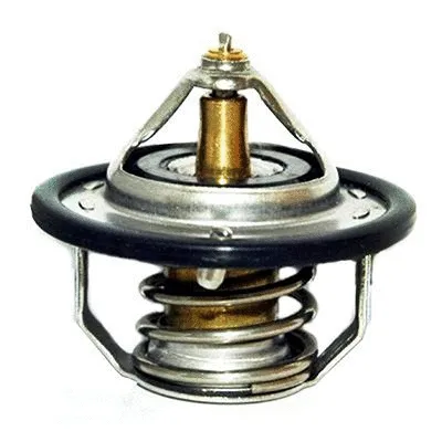 Thermostat, coolant (M4140)