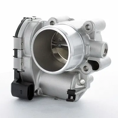Throttle Body (L8221)