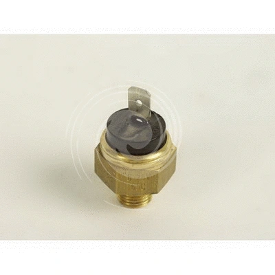 Temperature Switch, radiator fan (L2668)