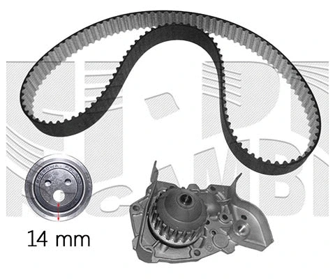 Water Pump & Timing Belt Kit (KATW1663)