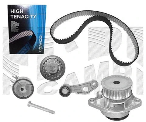 Water Pump & Timing Belt Kit (KATW1302)