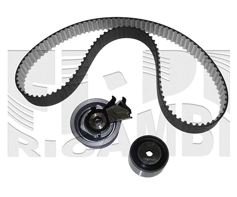 Timing Belt Kit (KAT1665)