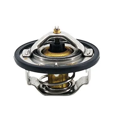 Thermostat, coolant (M4924)