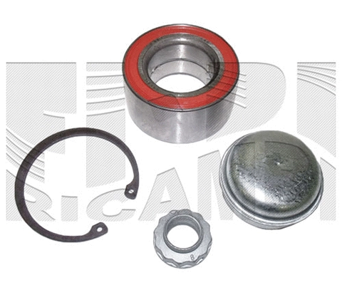 Wheel Bearing Kit (RA6731)