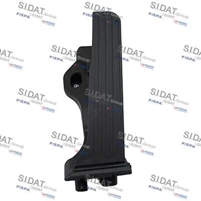 Accelerator Pedal Unit (L42209)