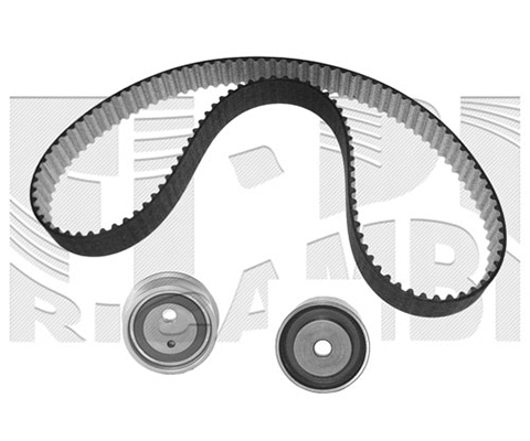 Timing Belt Kit (KAT1704)