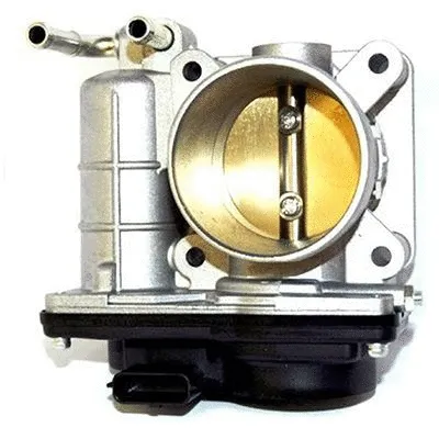 Throttle Body (L8158)