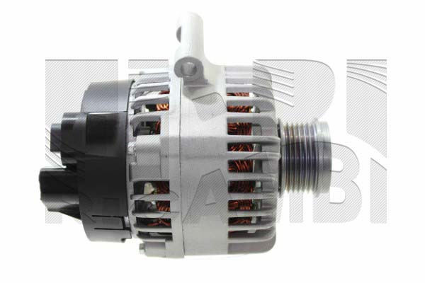 Alternator (ADN491)