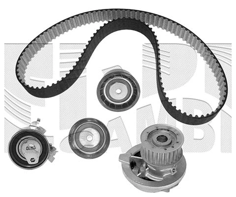 Water Pump & Timing Belt Kit (KATW1141)