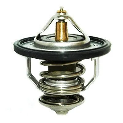 Thermostat, coolant (M4294)