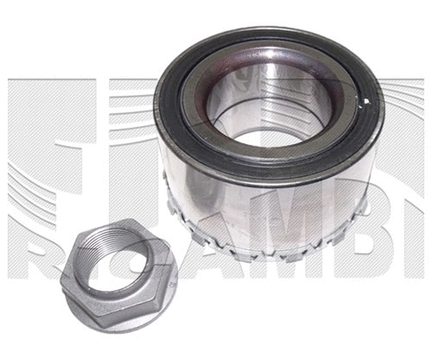 Wheel Bearing Kit (RA6798)