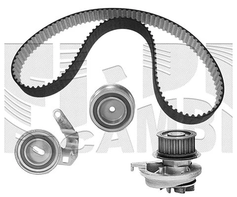 Water Pump & Timing Belt Kit (KATW1138)