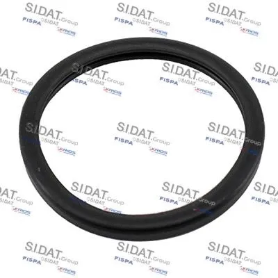 Seal, thermostat (M4016116)
