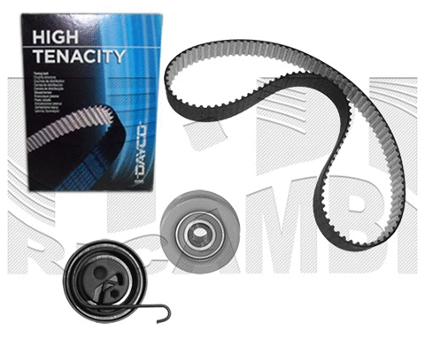 Timing Belt Kit (KAT1374)