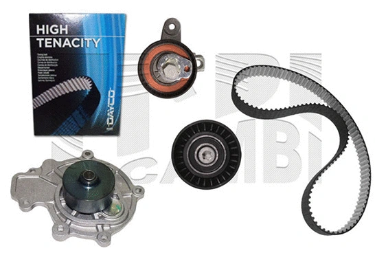 Water Pump & Timing Belt Kit (KATW1508)