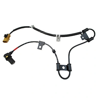 Sensor, wheel speed (L41361A2)