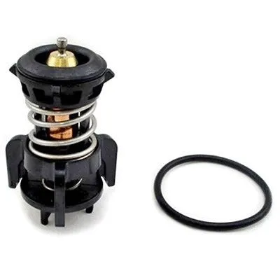 Thermostat, coolant (M4863)