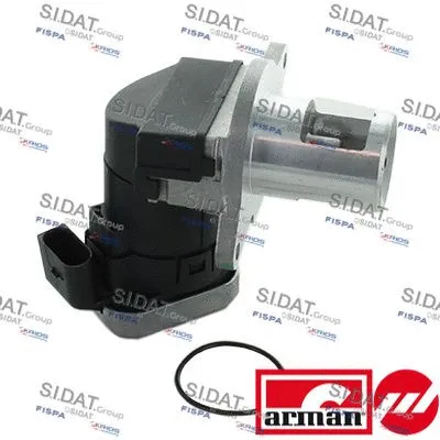 EGR Valve (L3894AS)
