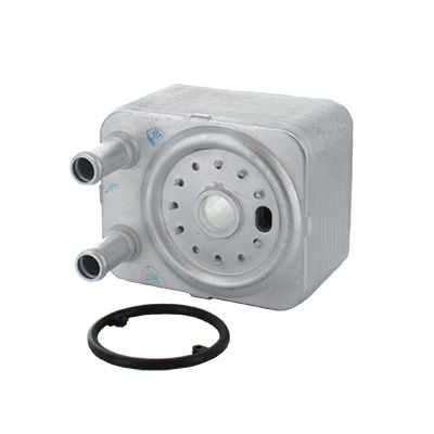 Oil Cooler, engine oil (E90006)