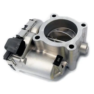 Throttle Body (L8232)