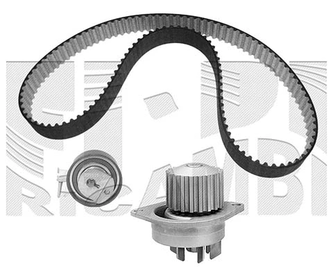 Water Pump & Timing Belt Kit (KATW1301)