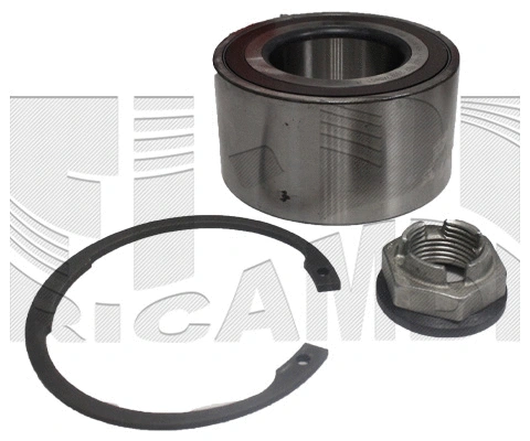 Wheel Bearing Kit (RA2041)