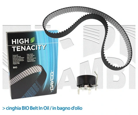 Timing Belt Kit (KAT1715)