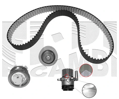 Water Pump & Timing Belt Kit (KATW1263C)